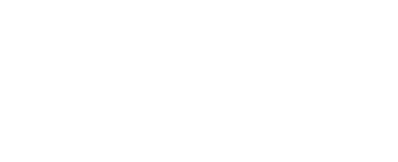 google 5-star review